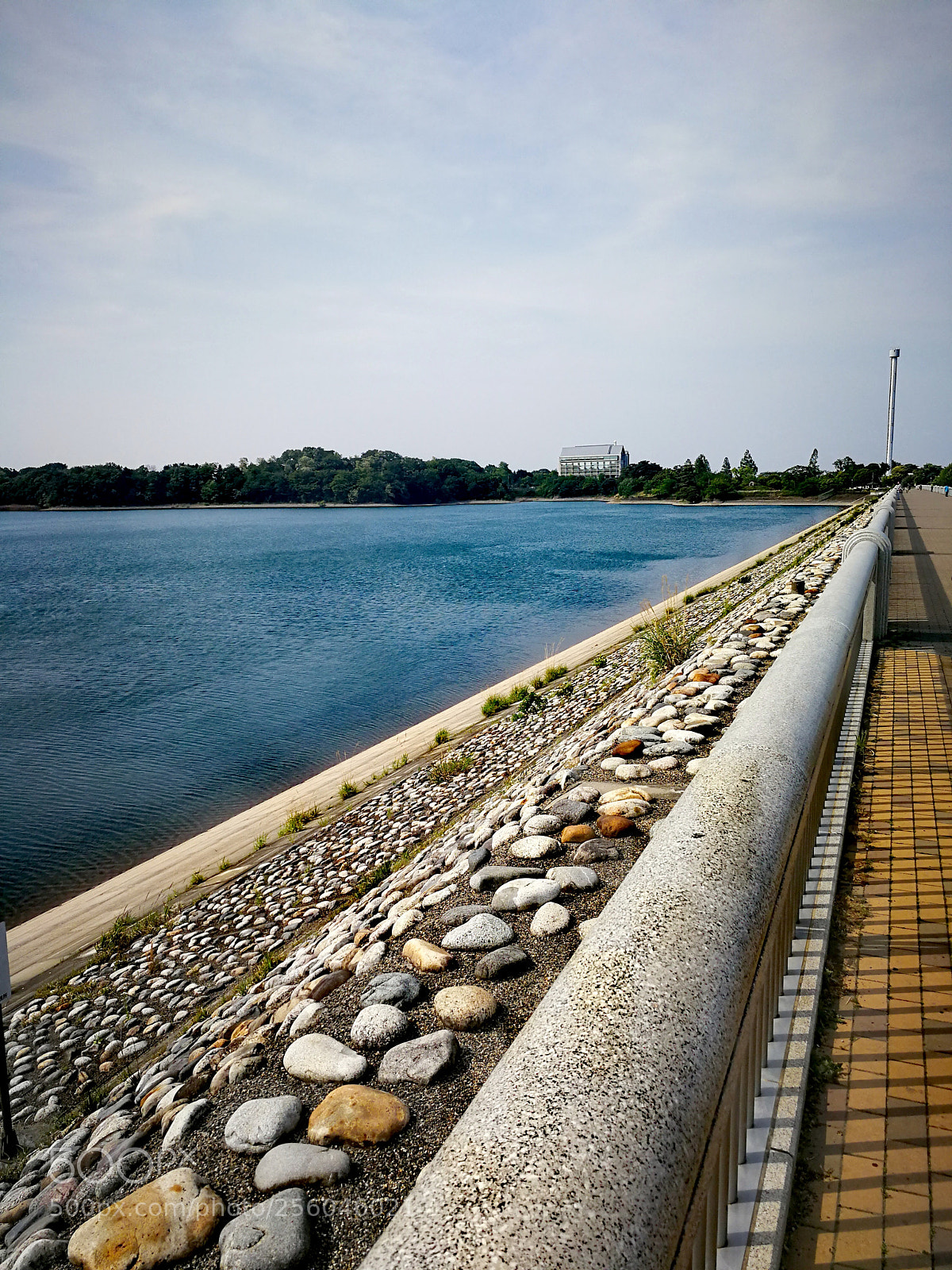 HUAWEI Mate 9 sample photo. 都立狭山公園 photography