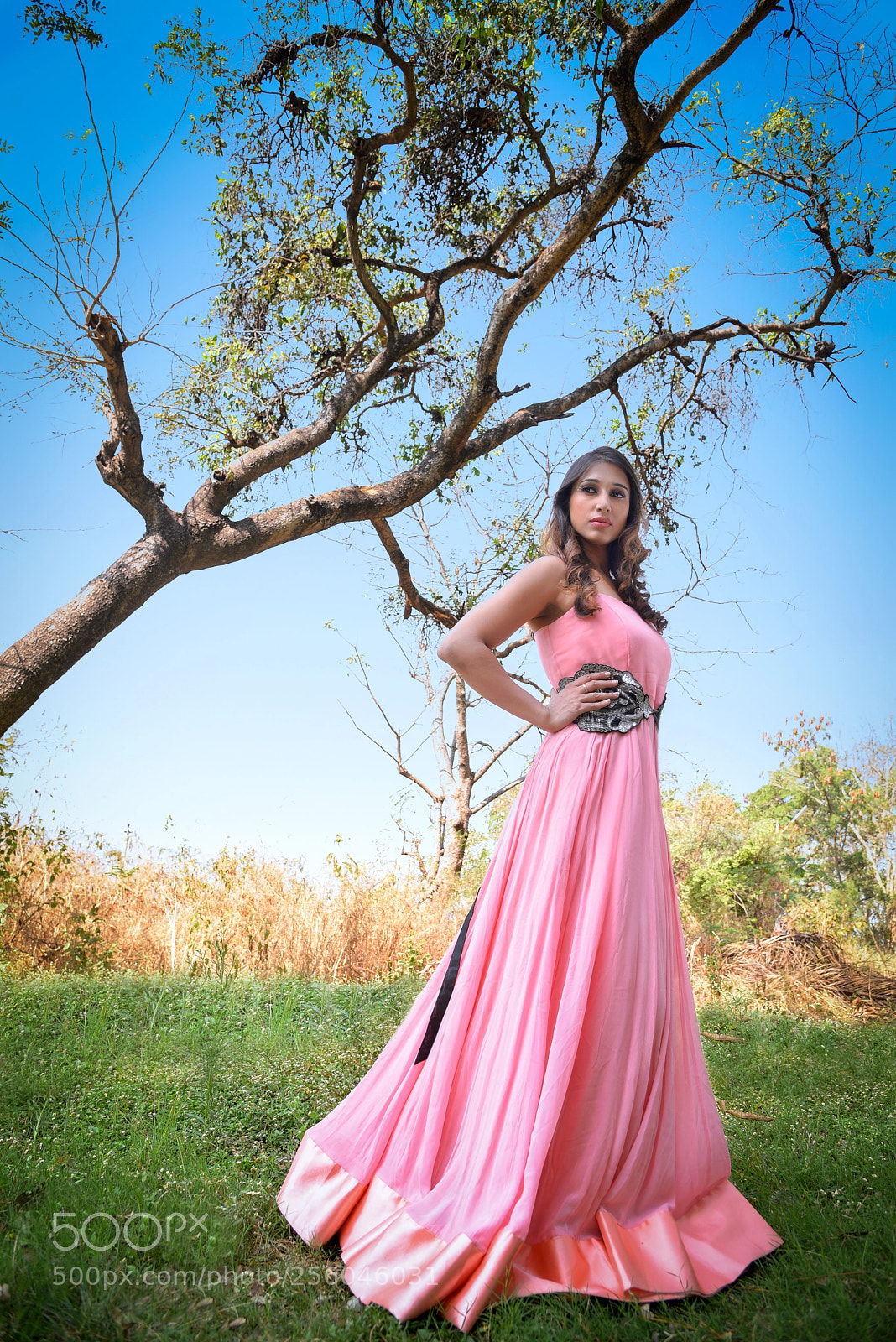Nikon D750 sample photo. Diksha photography