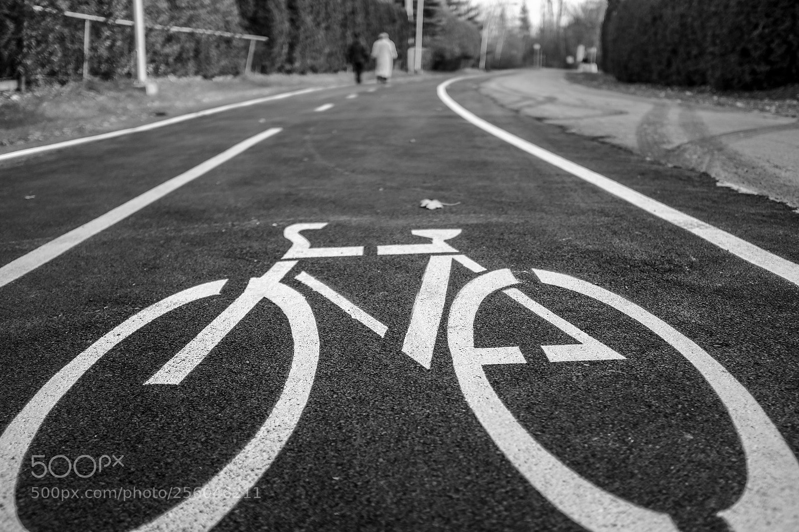 Fujifilm X100S sample photo. Bike path photography