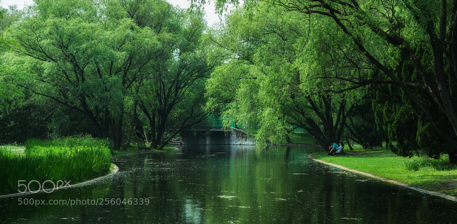 Sony a7R II sample photo. Green photography