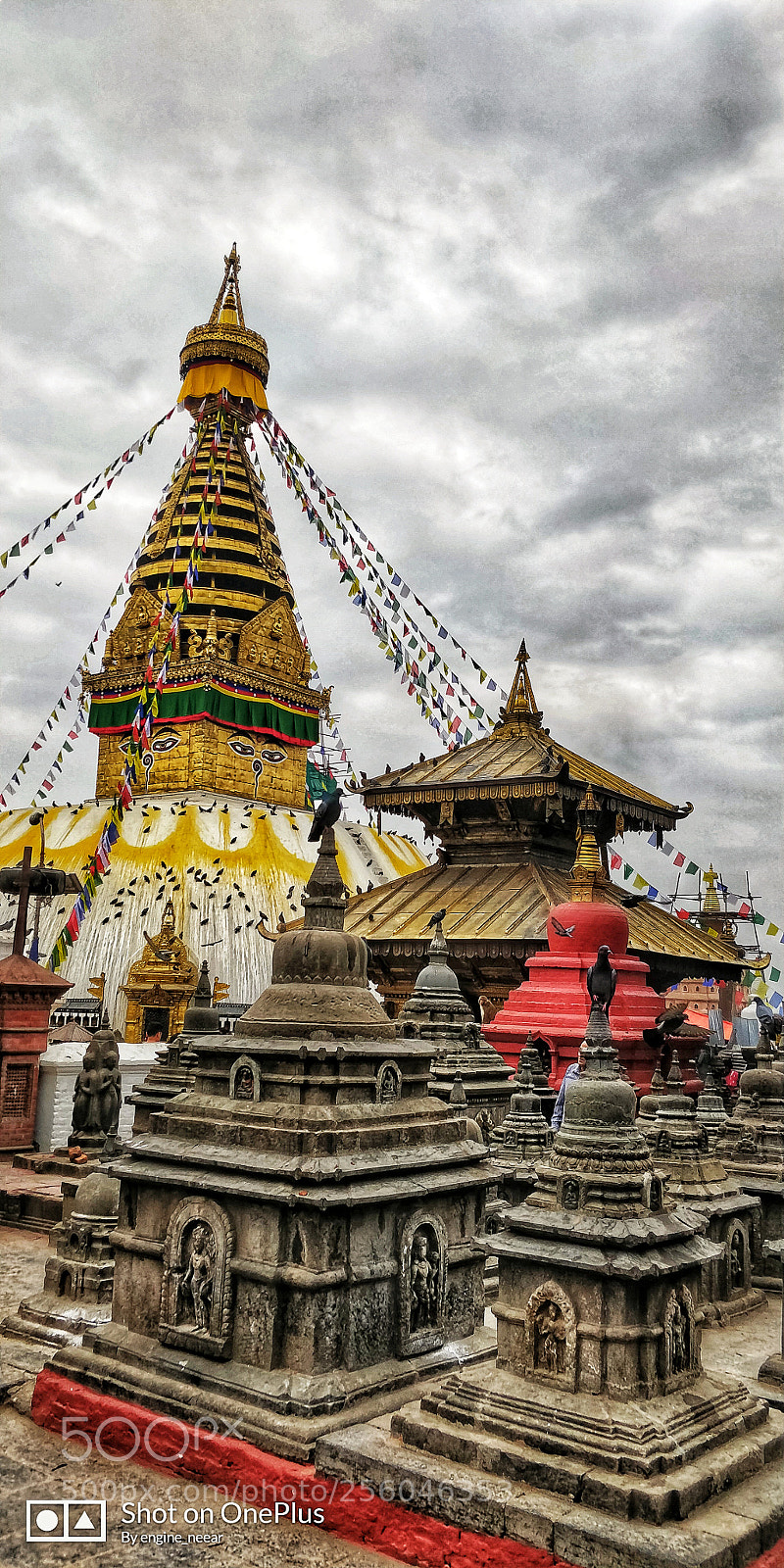 OnePlus 5T sample photo. Good morning from swoyambhunath photography