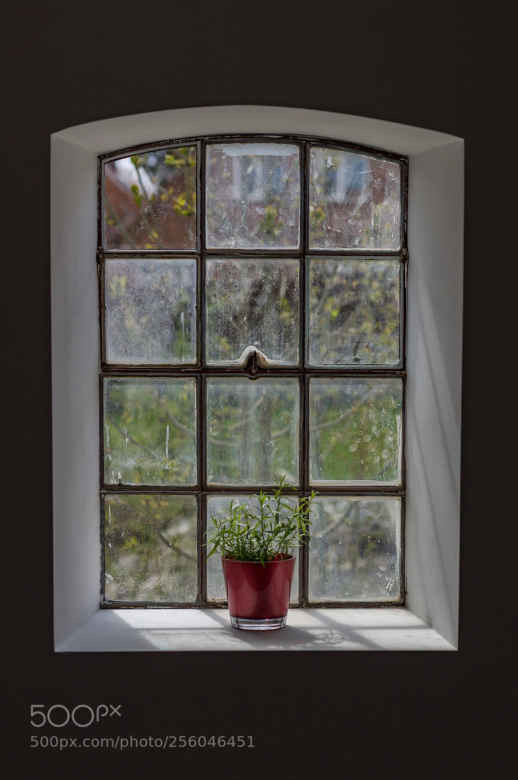Sony SLT-A55 (SLT-A55V) sample photo. Barn window ii photography