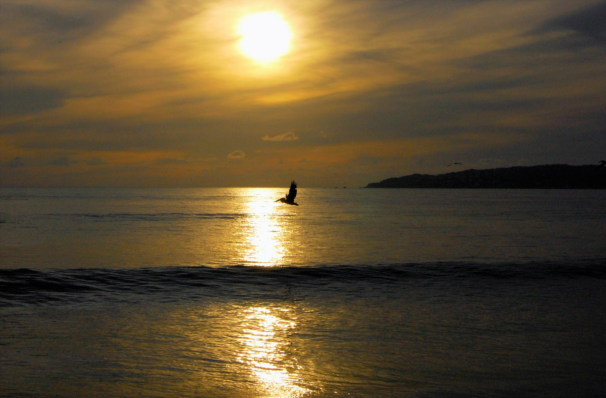 Nikon D40 sample photo. Sunset and pelican photography