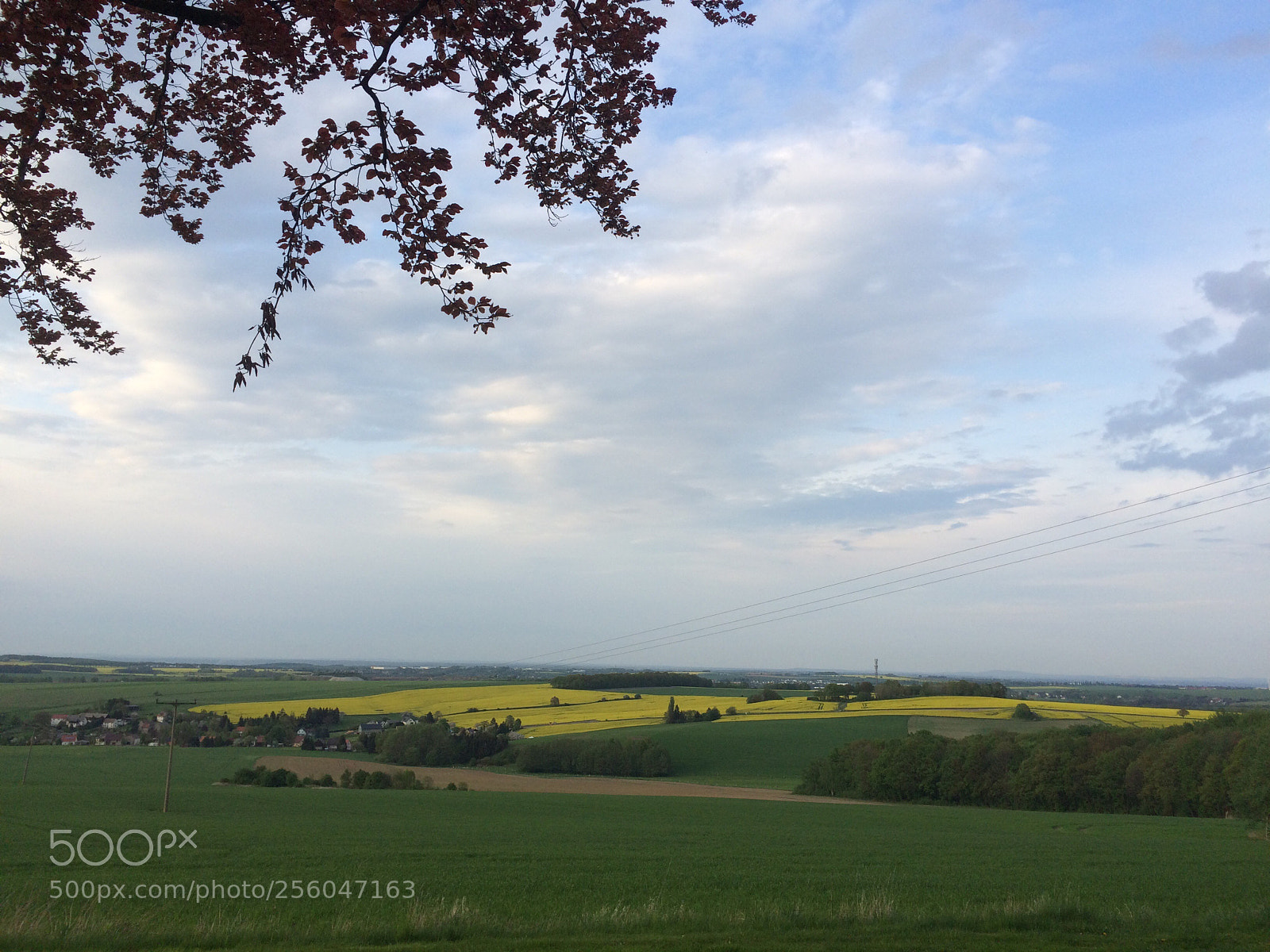 Apple iPhone 5s sample photo. Landberg  photography