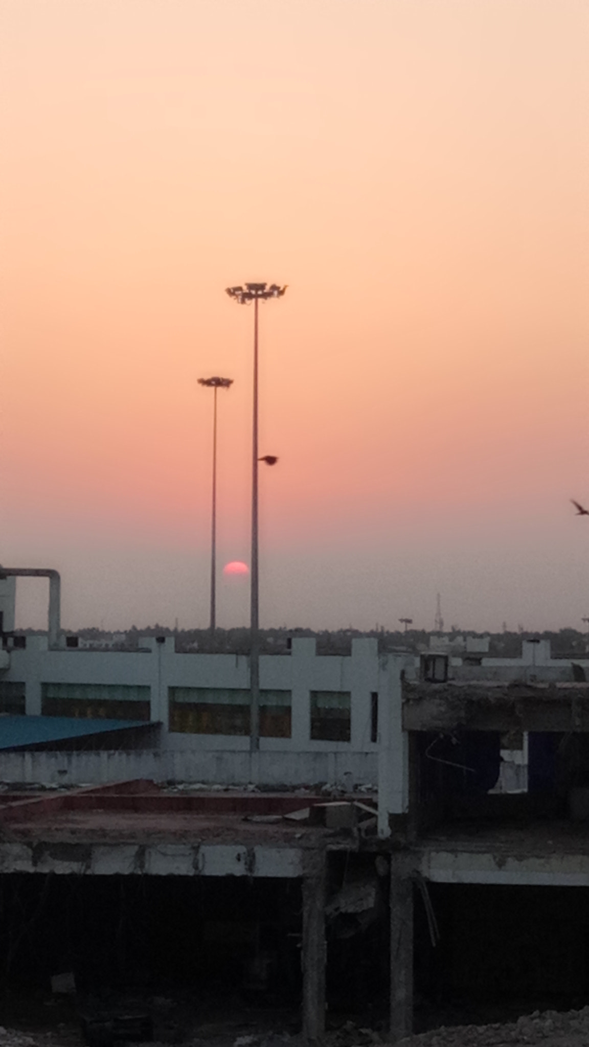 OPPO A1601 sample photo. ������������������������������� photography