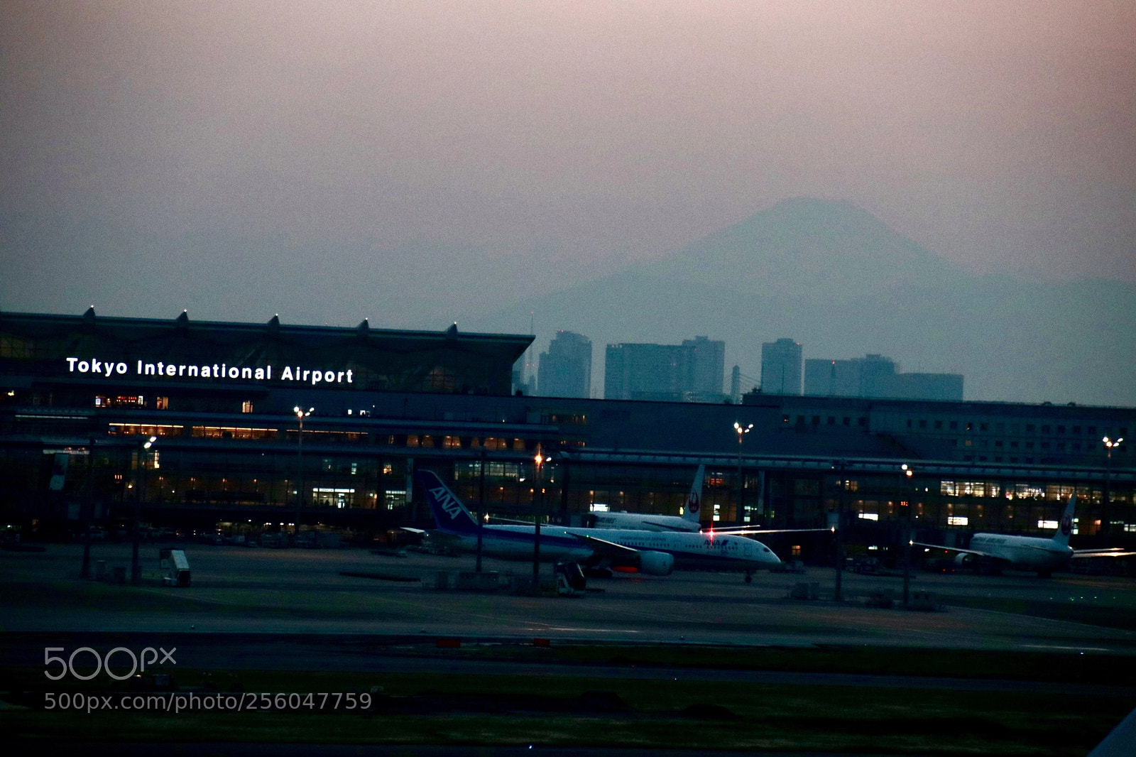 Canon EOS 80D sample photo. Haneda 
fujisan photography