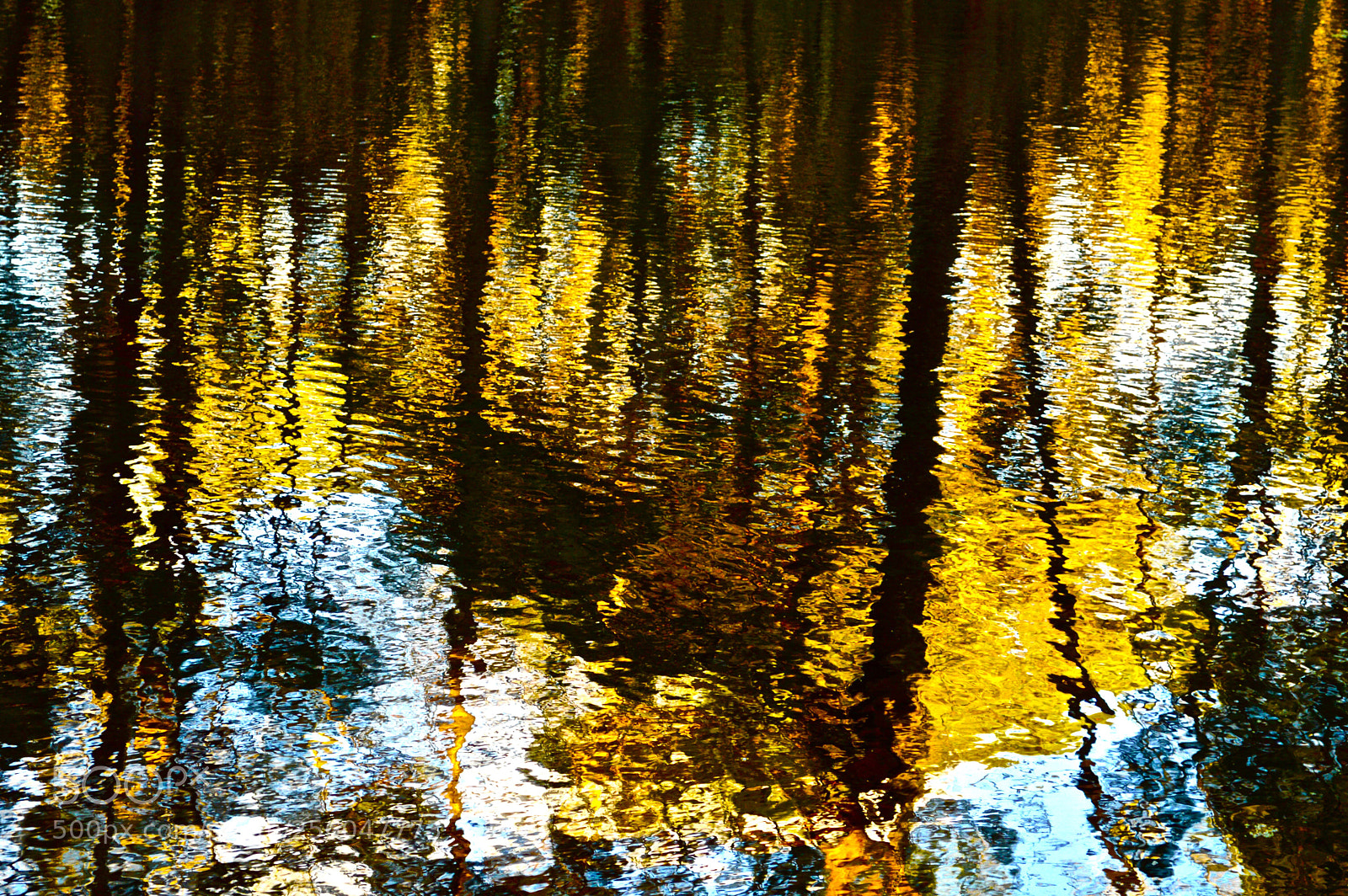 Nikon D3200 sample photo. Reflection photography