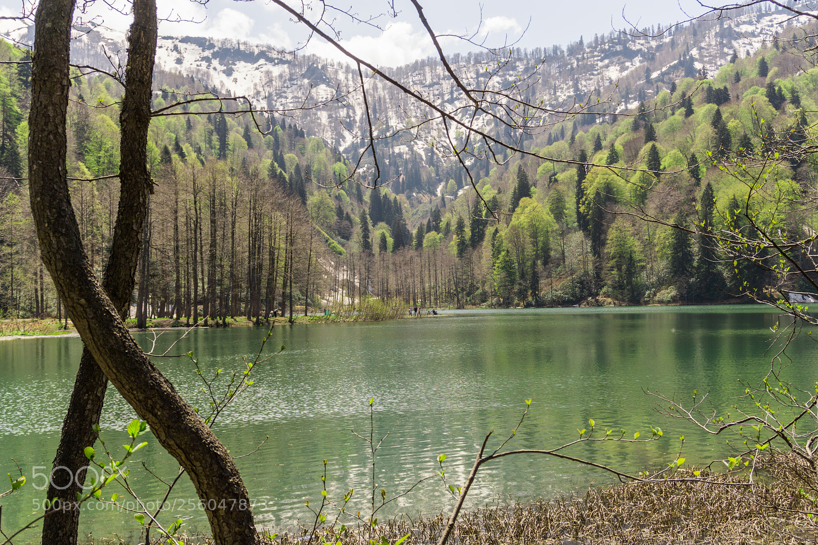 Sony a6000 sample photo. Lost in nature photography