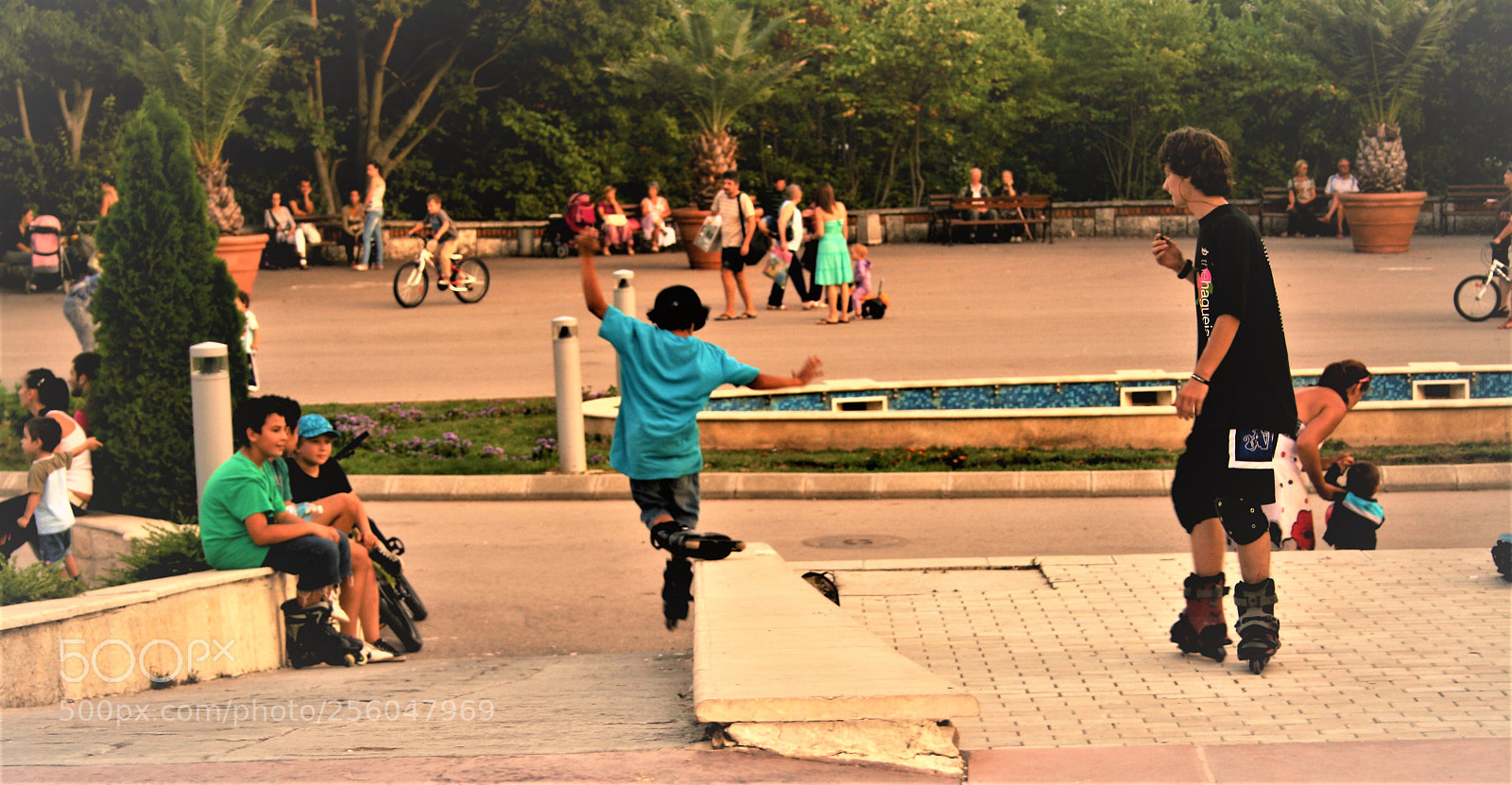 Canon EOS 1000D (EOS Digital Rebel XS / EOS Kiss F) sample photo. () photography