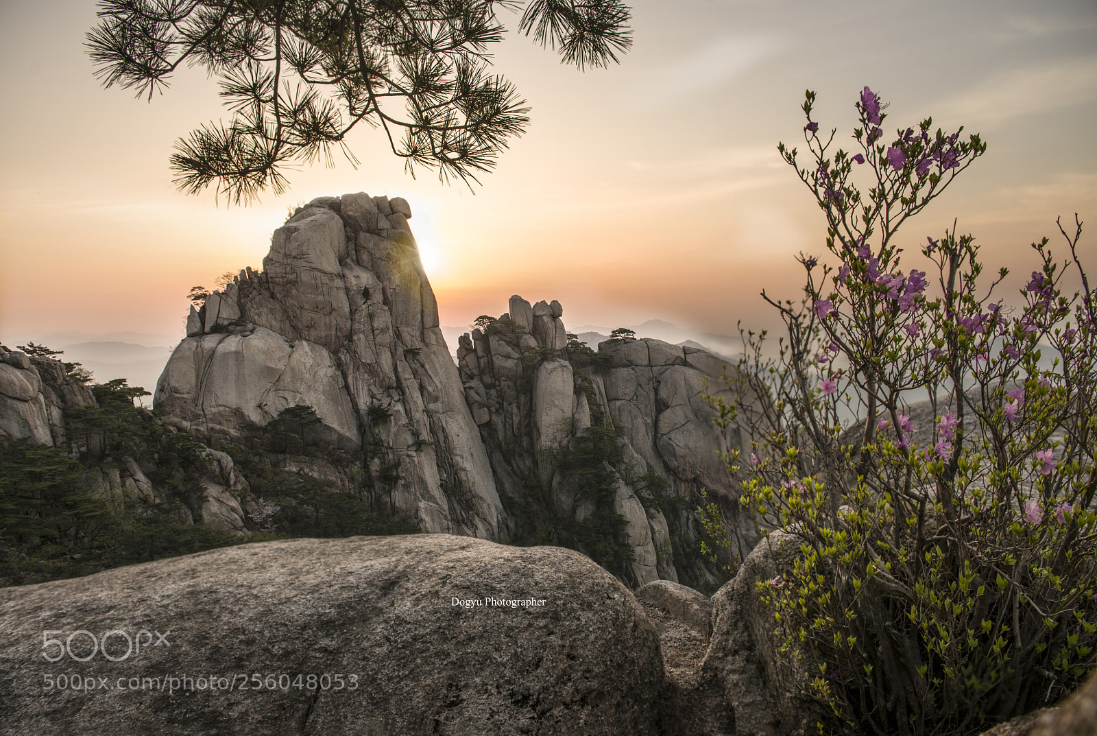 Nikon D800E sample photo. Spring on the mountin photography