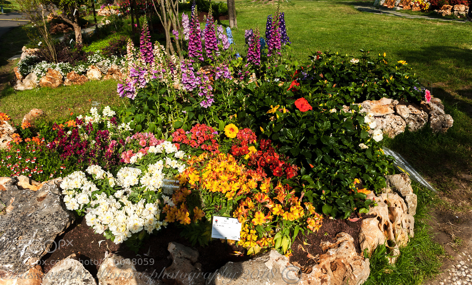 Pentax K20D sample photo. Euroflora 2018 photography