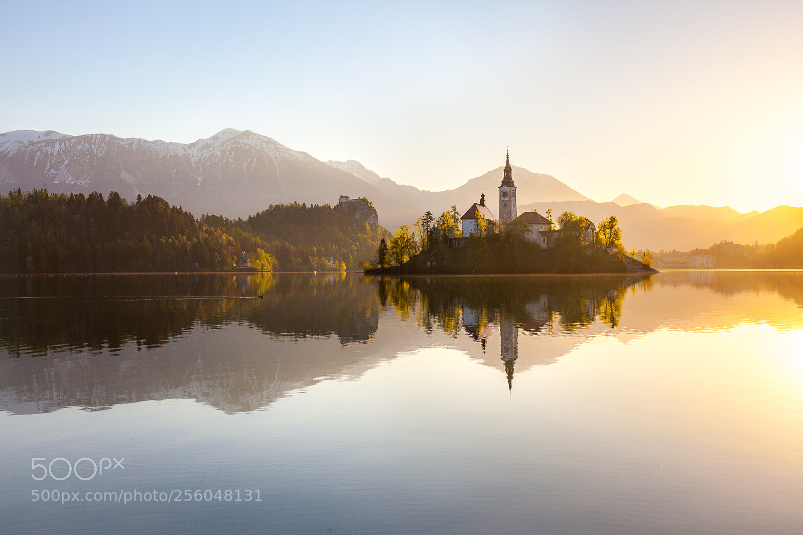 Canon EOS 5D Mark II sample photo. Lake bled photography