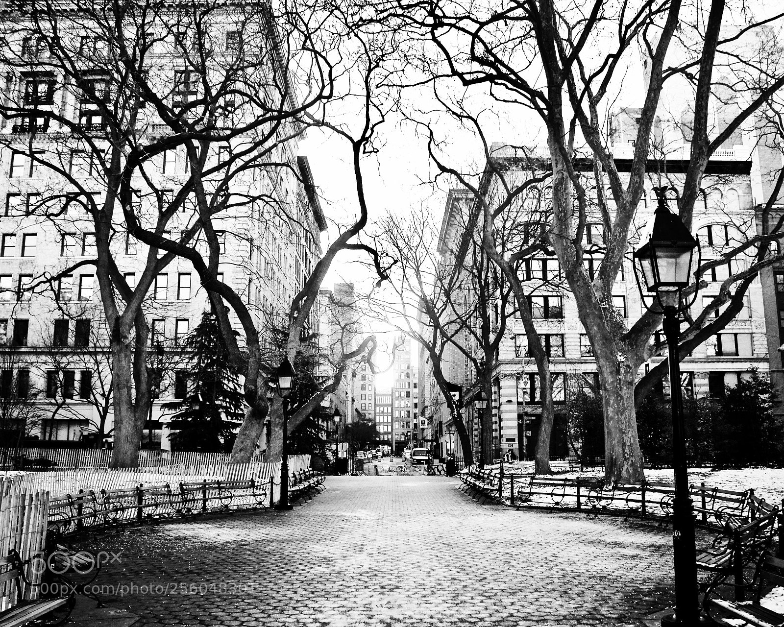Nikon D5100 sample photo. Washington square  photography