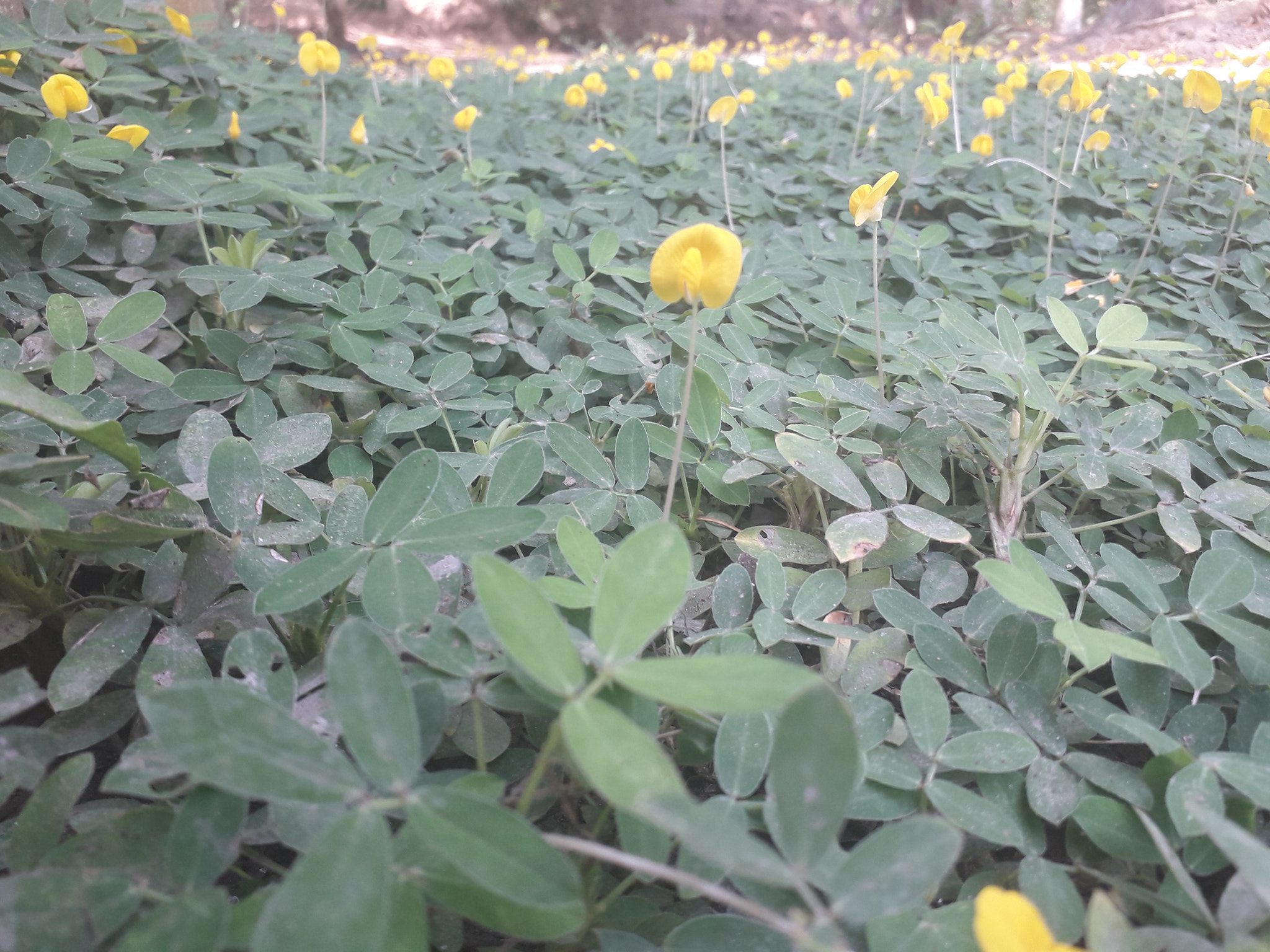 Samsung Galaxy J3 Pro sample photo