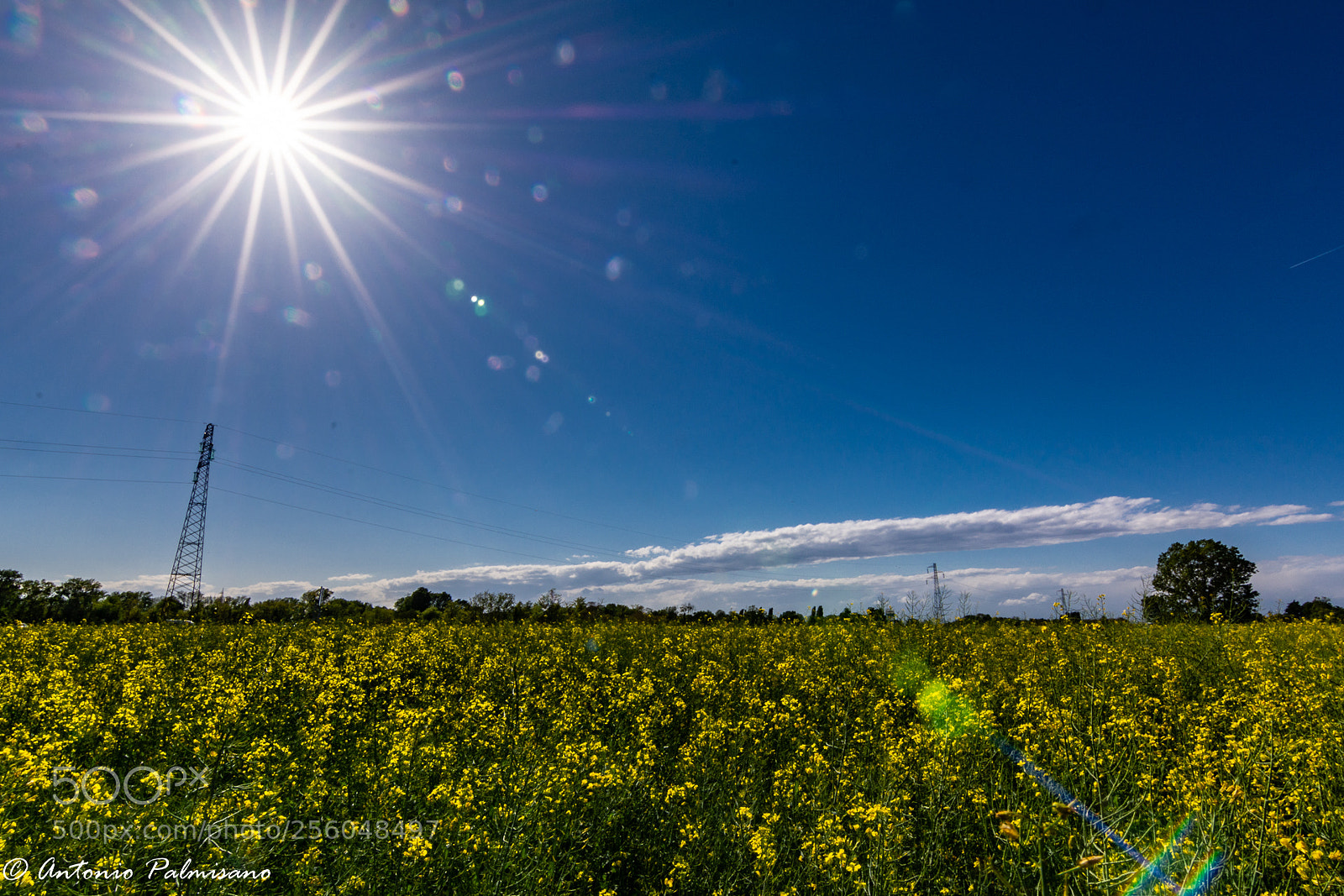 Nikon D7100 sample photo. Untitled photography