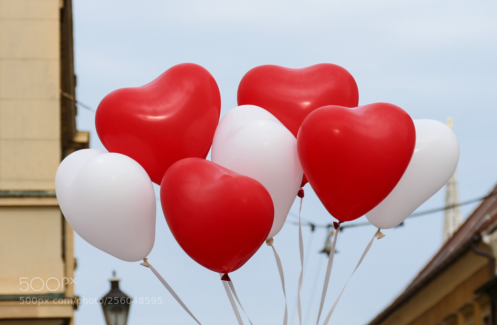 Panasonic Lumix DMC-FZ1000 sample photo. Love is in the photography