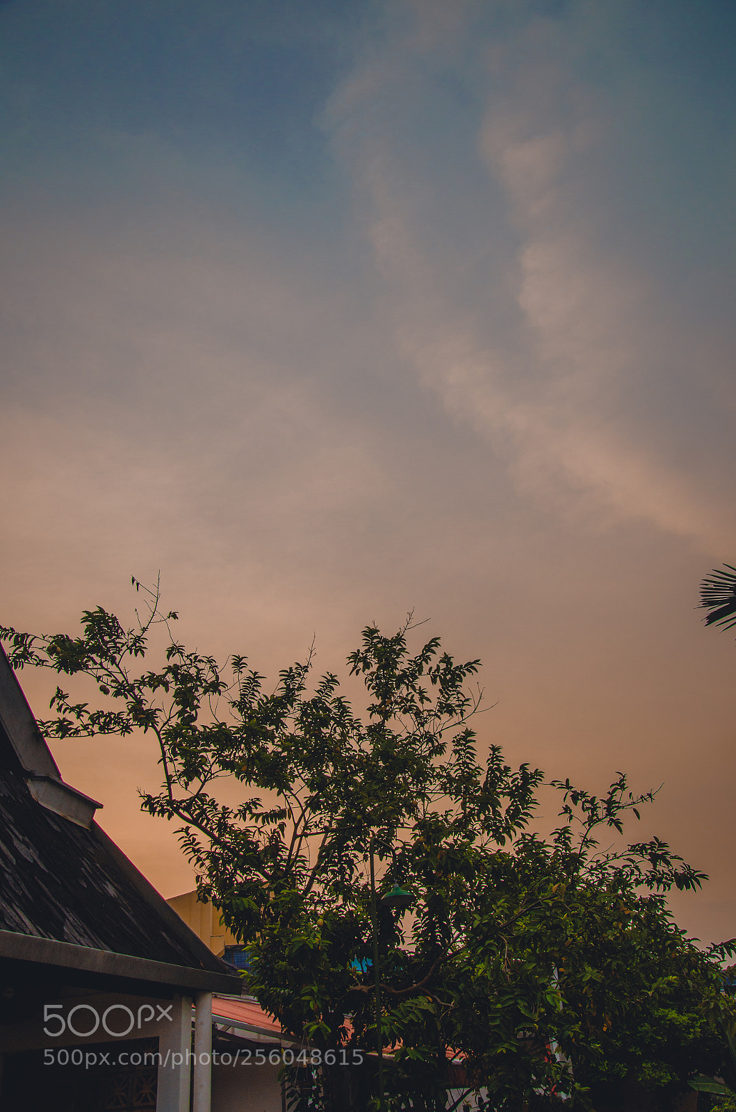 Nikon D7000 sample photo. Evening photography