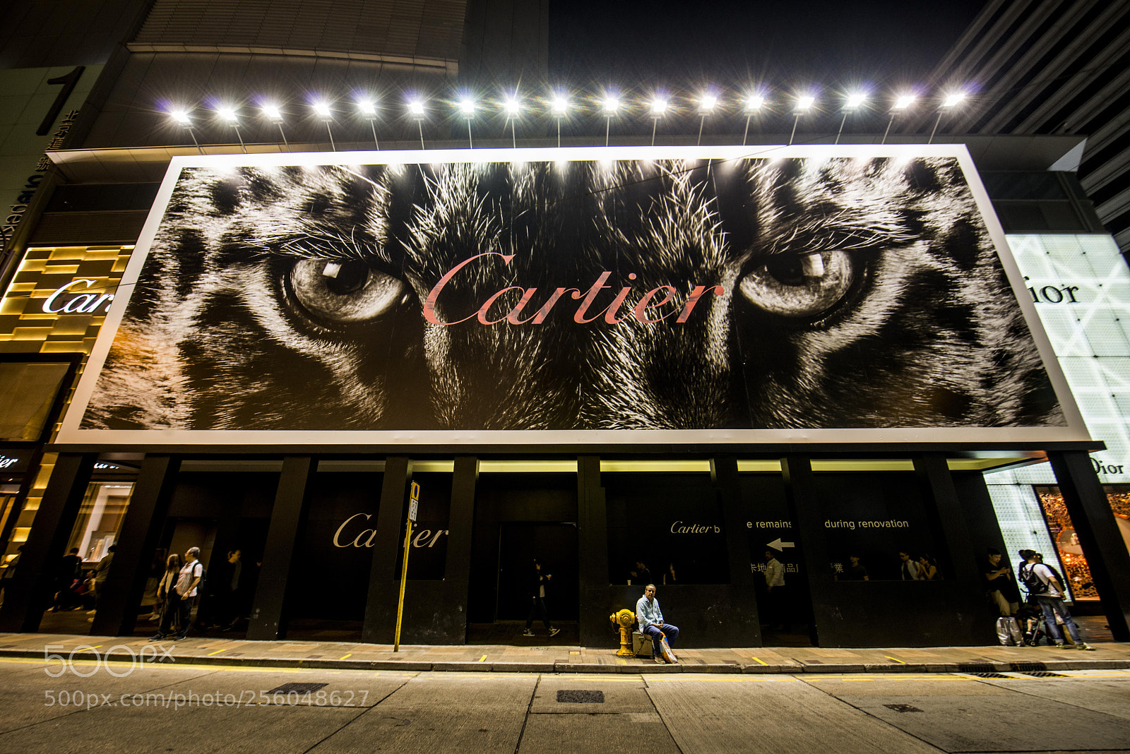 Nikon D800 sample photo. Cartier eye photography
