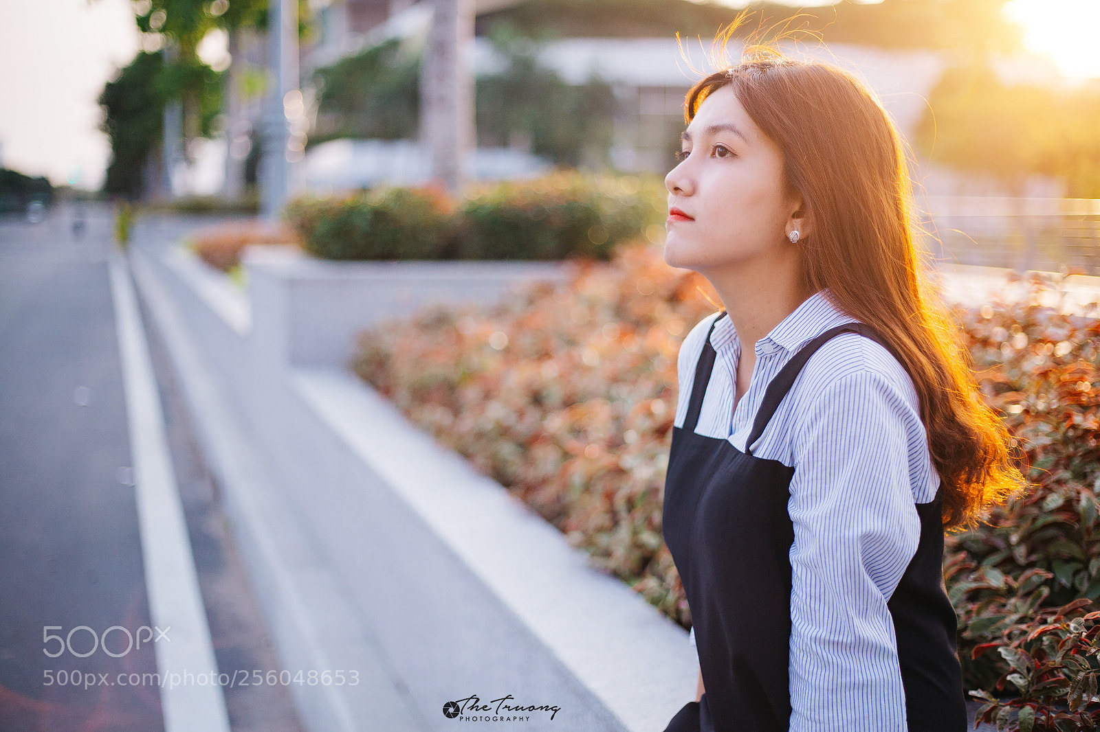 Canon EOS 6D sample photo. #canon6d50f1.8 photography