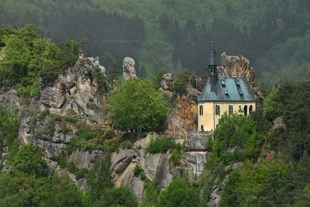 Canon EF 70-300mm F4-5.6 IS USM sample photo. Living on the top of the rock photography