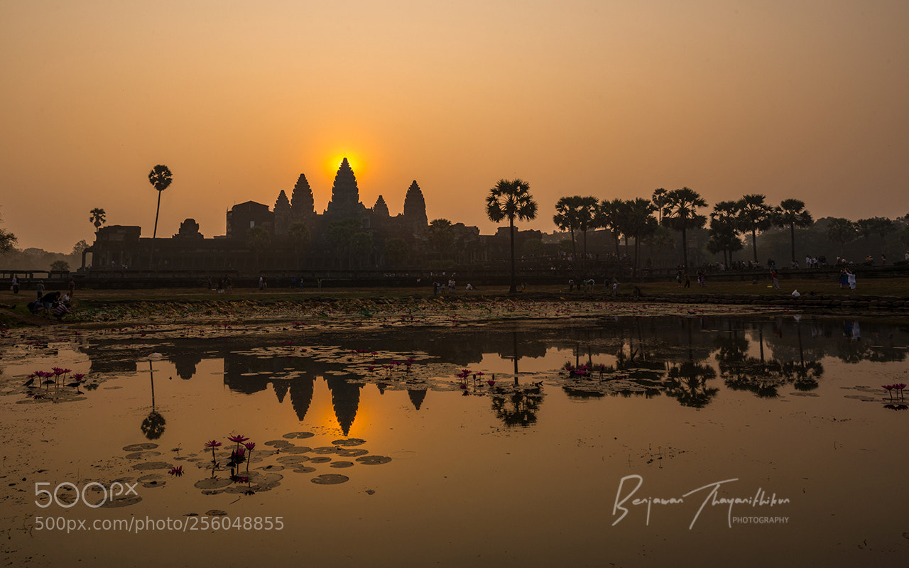 Nikon D800 sample photo. Sunrise at angkor wat photography