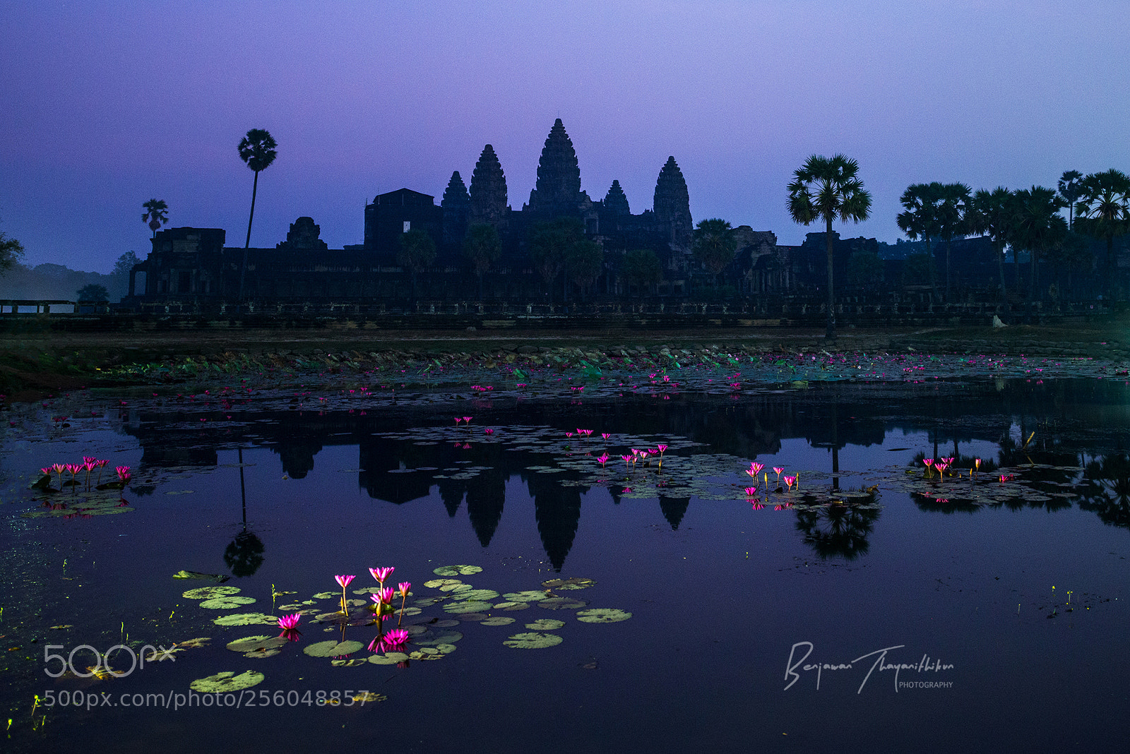 Nikon D800 sample photo. Angkor wat photography