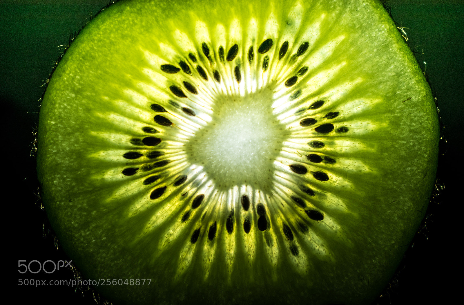 Nikon D3300 sample photo. Kiwi photography