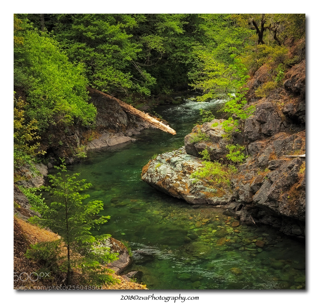 Canon EOS-1Ds Mark III sample photo. Emerald pool photography