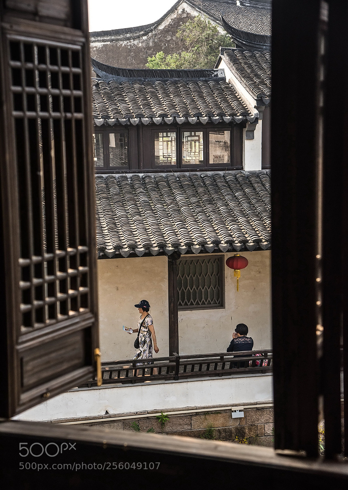 Nikon D750 sample photo. Out of the window photography