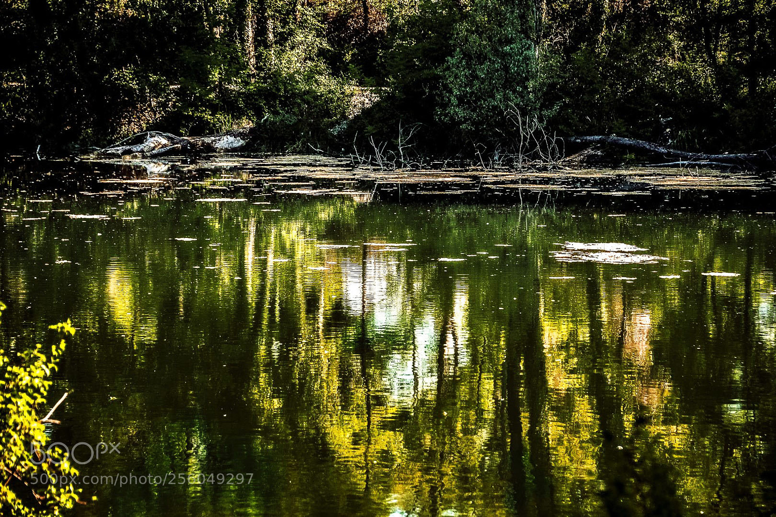 Nikon D610 sample photo. Body of water photography