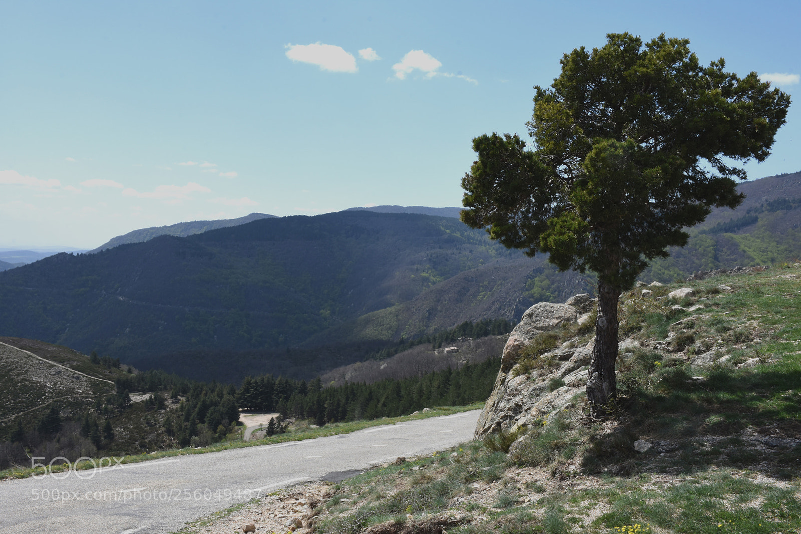 Nikon D7200 sample photo. Aigoual cevennes photography