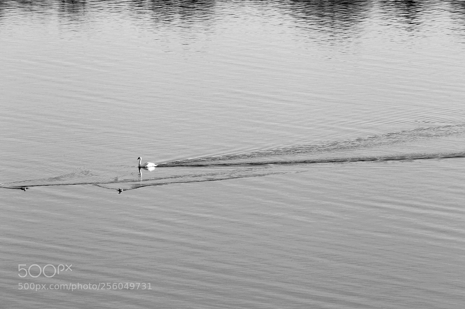 Canon EOS 6D sample photo. Untitled photography