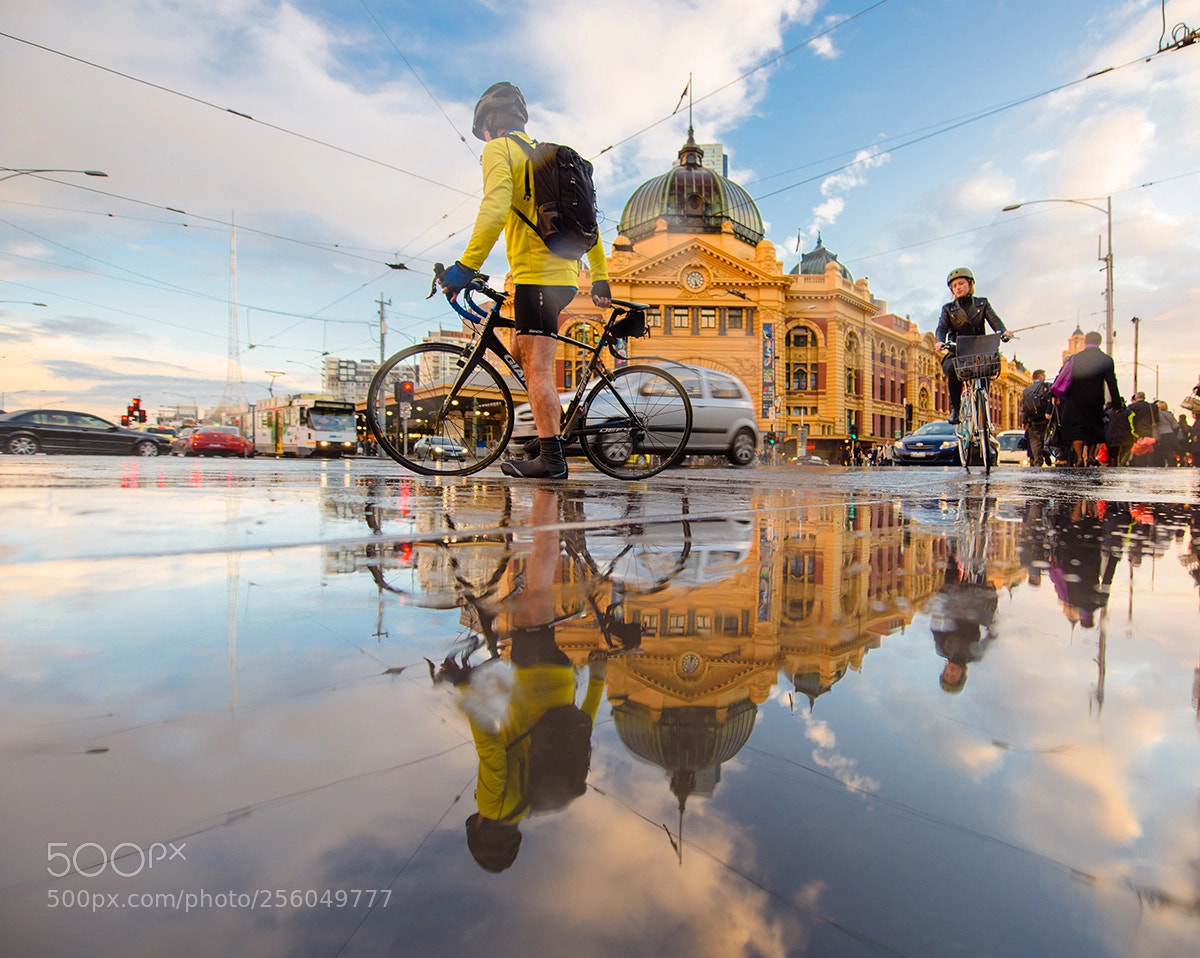 Nikon D810 sample photo. Melbourne photography