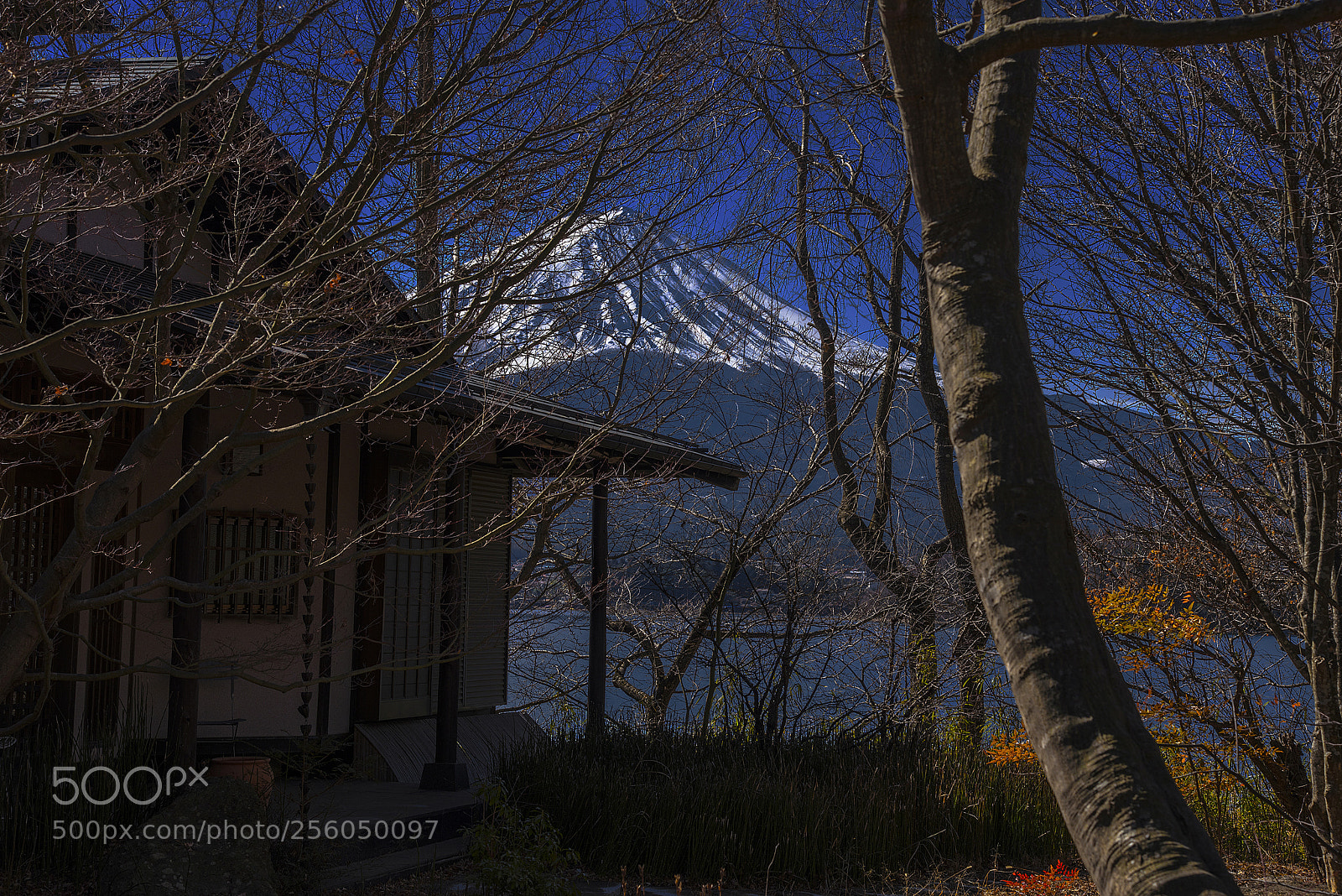 Nikon D750 sample photo. Fujisan photography