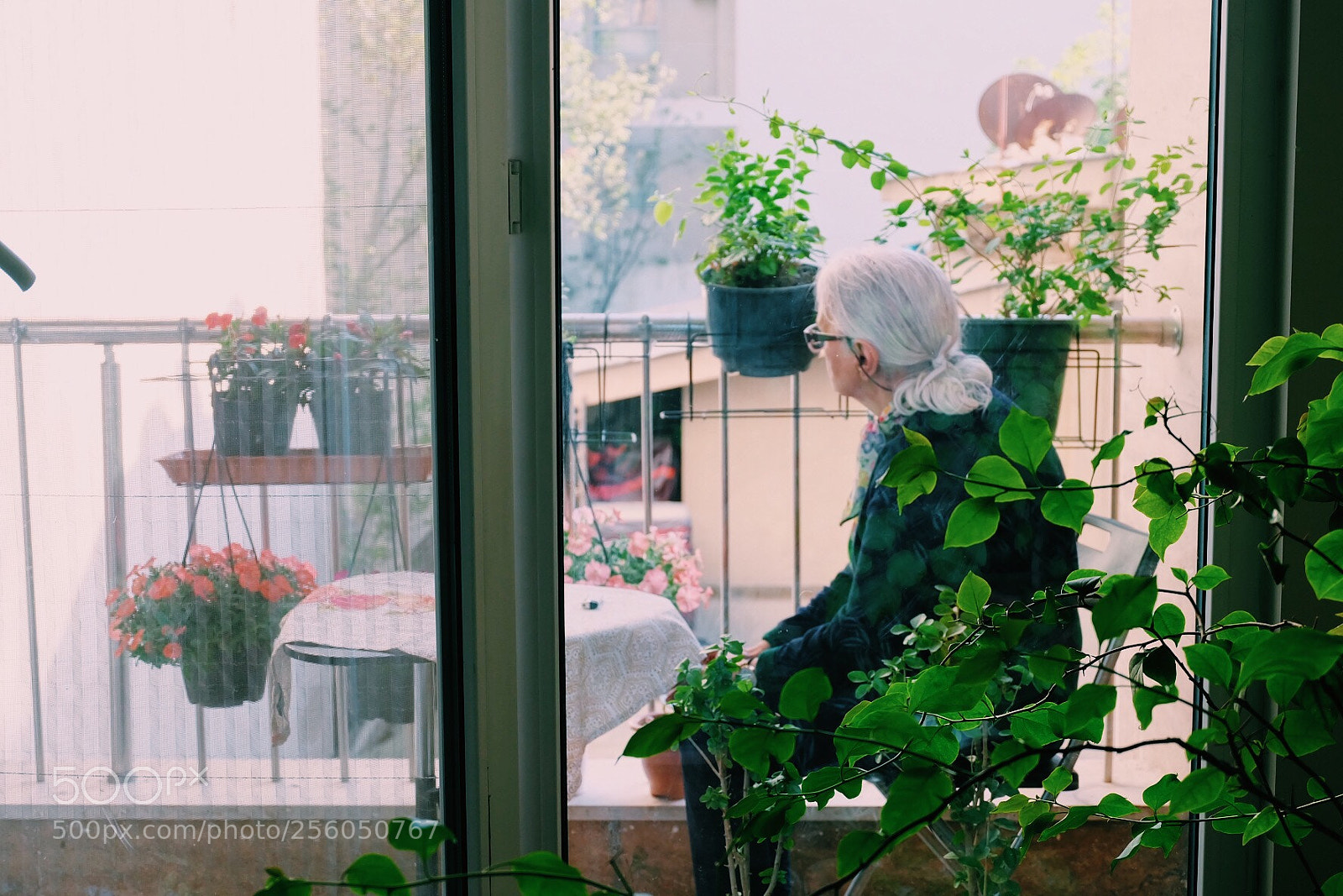 Fujifilm X-A1 sample photo. Grandmama photography