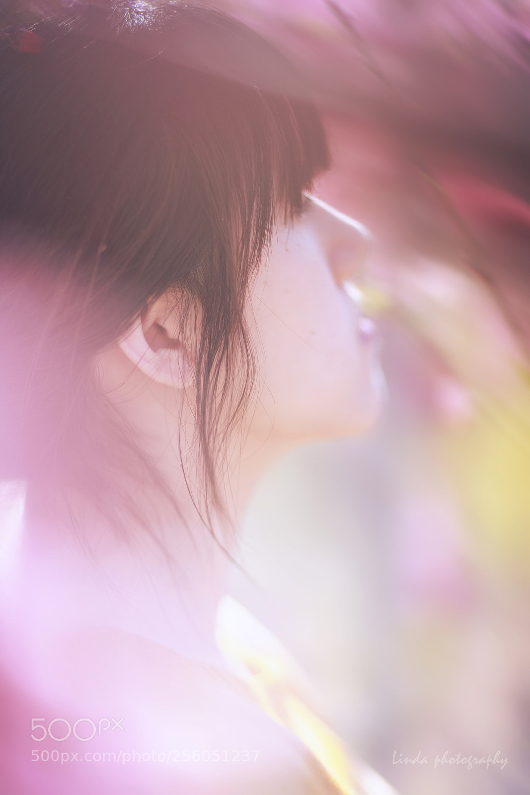 Canon EOS 5D Mark II sample photo. 意 photography