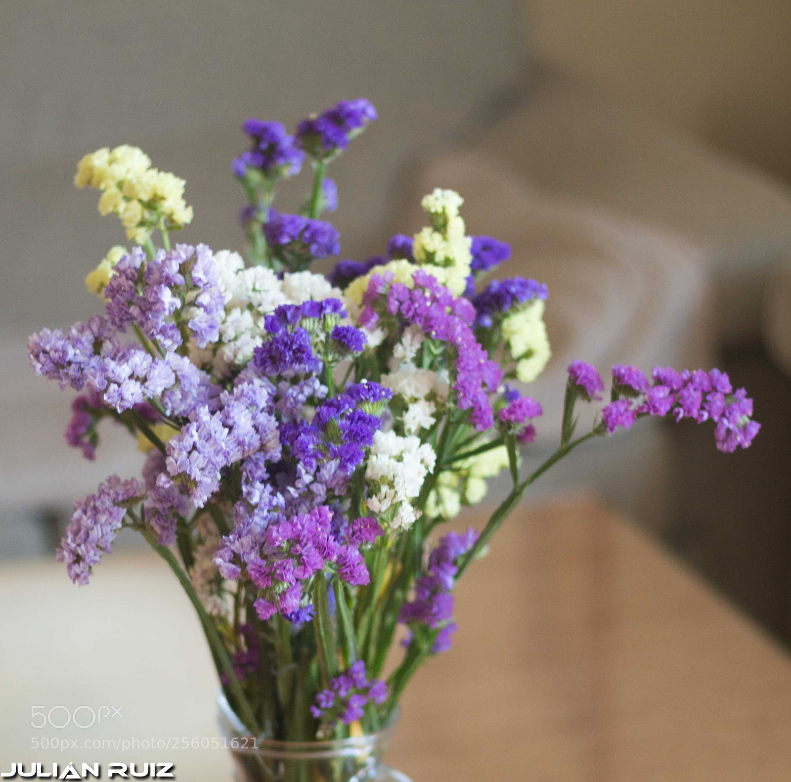 Canon EOS 100D (EOS Rebel SL1 / EOS Kiss X7) sample photo. Ramo photography