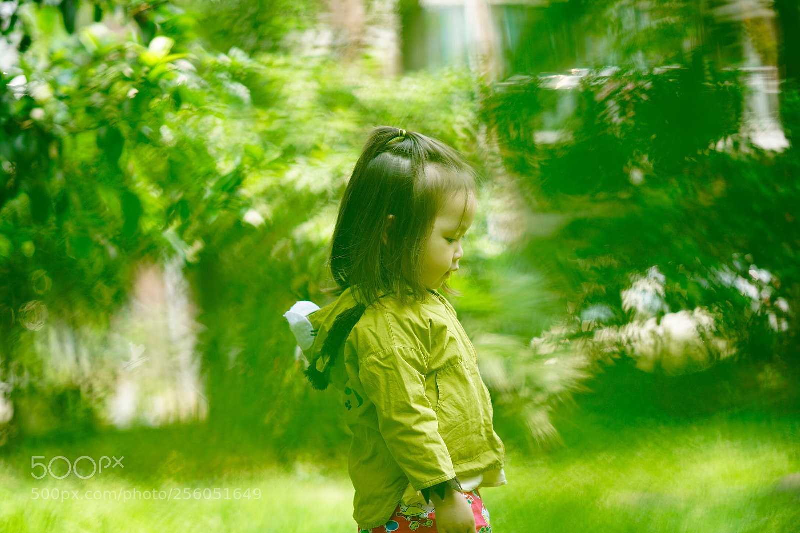 Sony a7R II sample photo. This is spring.  photography