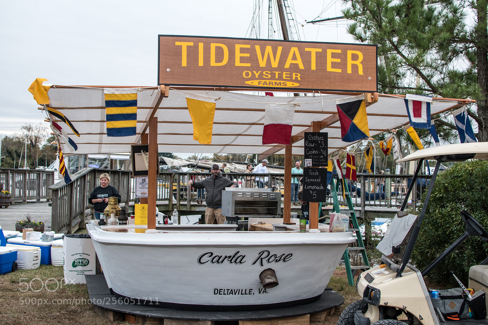 Nikon D5500 sample photo. Tidewater photography
