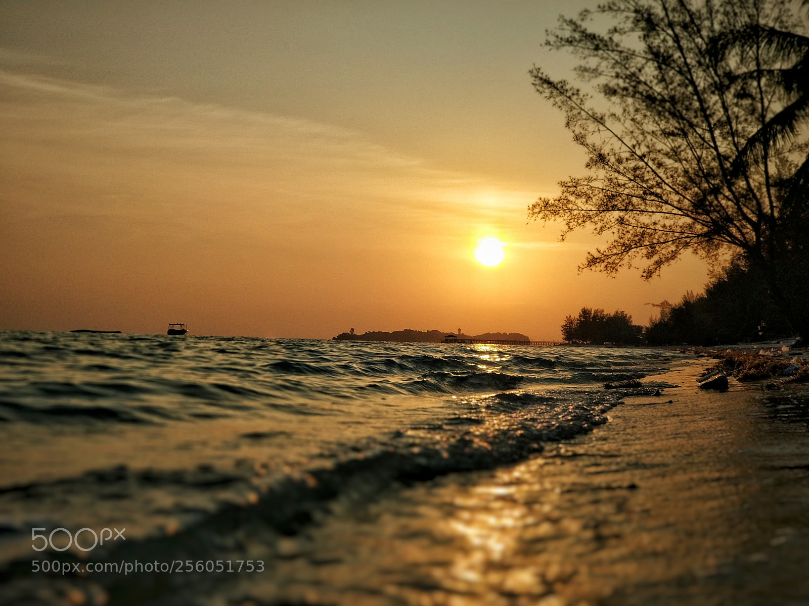 Xiaomi MI6 sample photo. Untitled photography