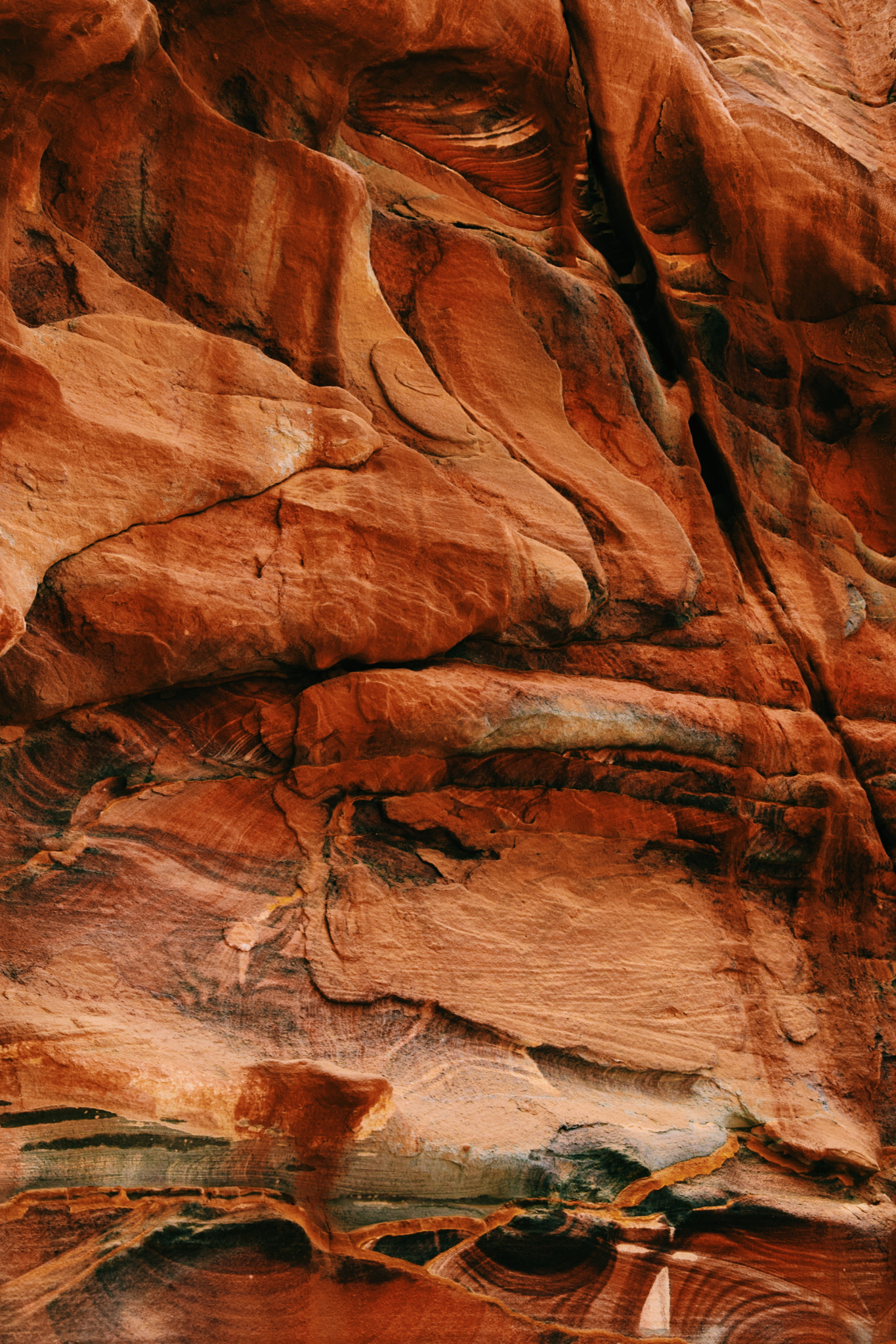 Nikon D3300 sample photo. Natural art. photography