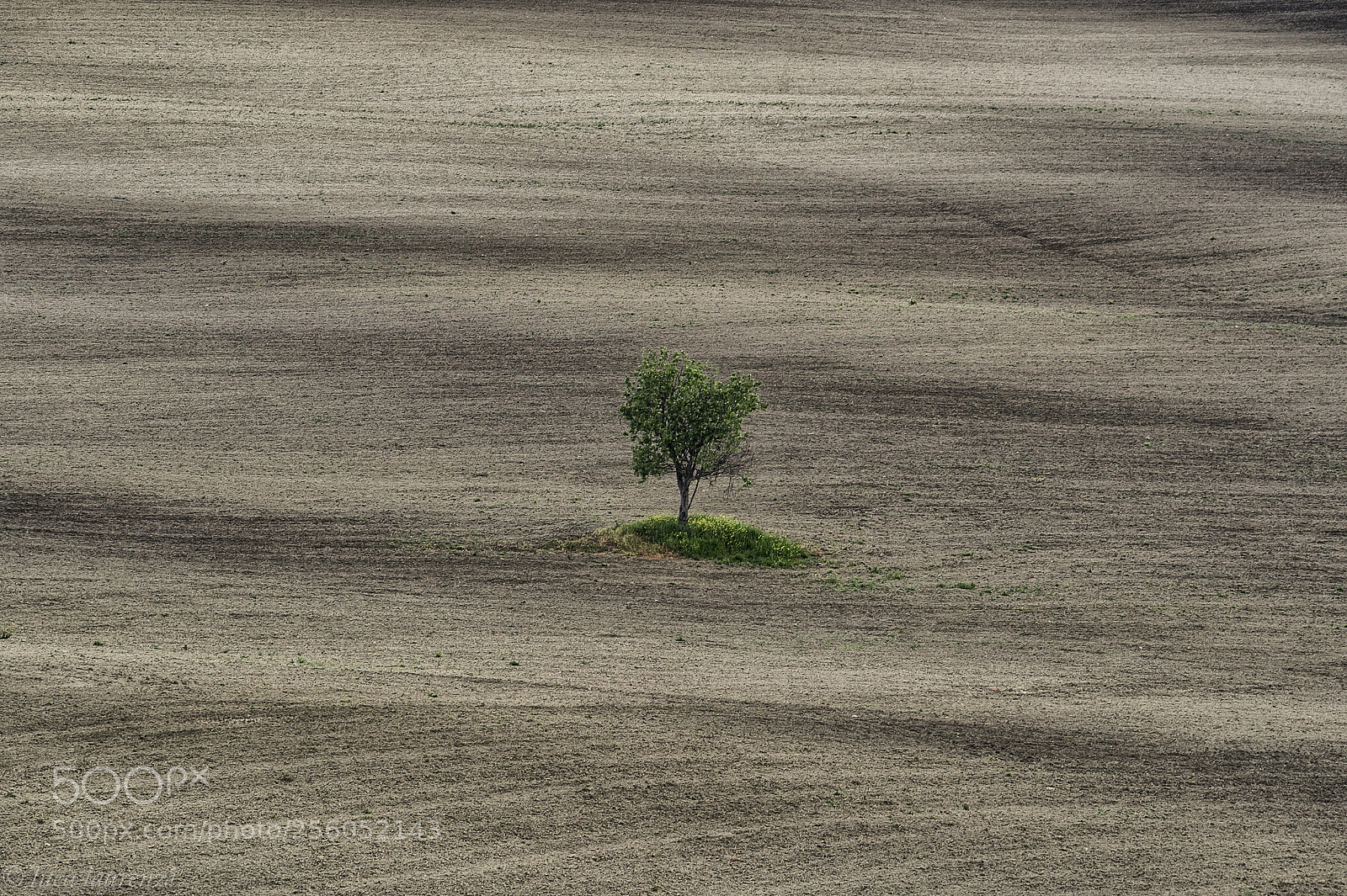 Nikon D3S sample photo. Il solitario photography
