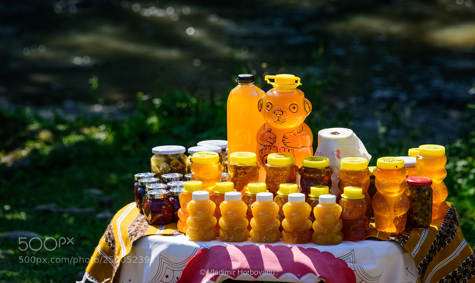 Nikon D810 sample photo. Honey bear photography