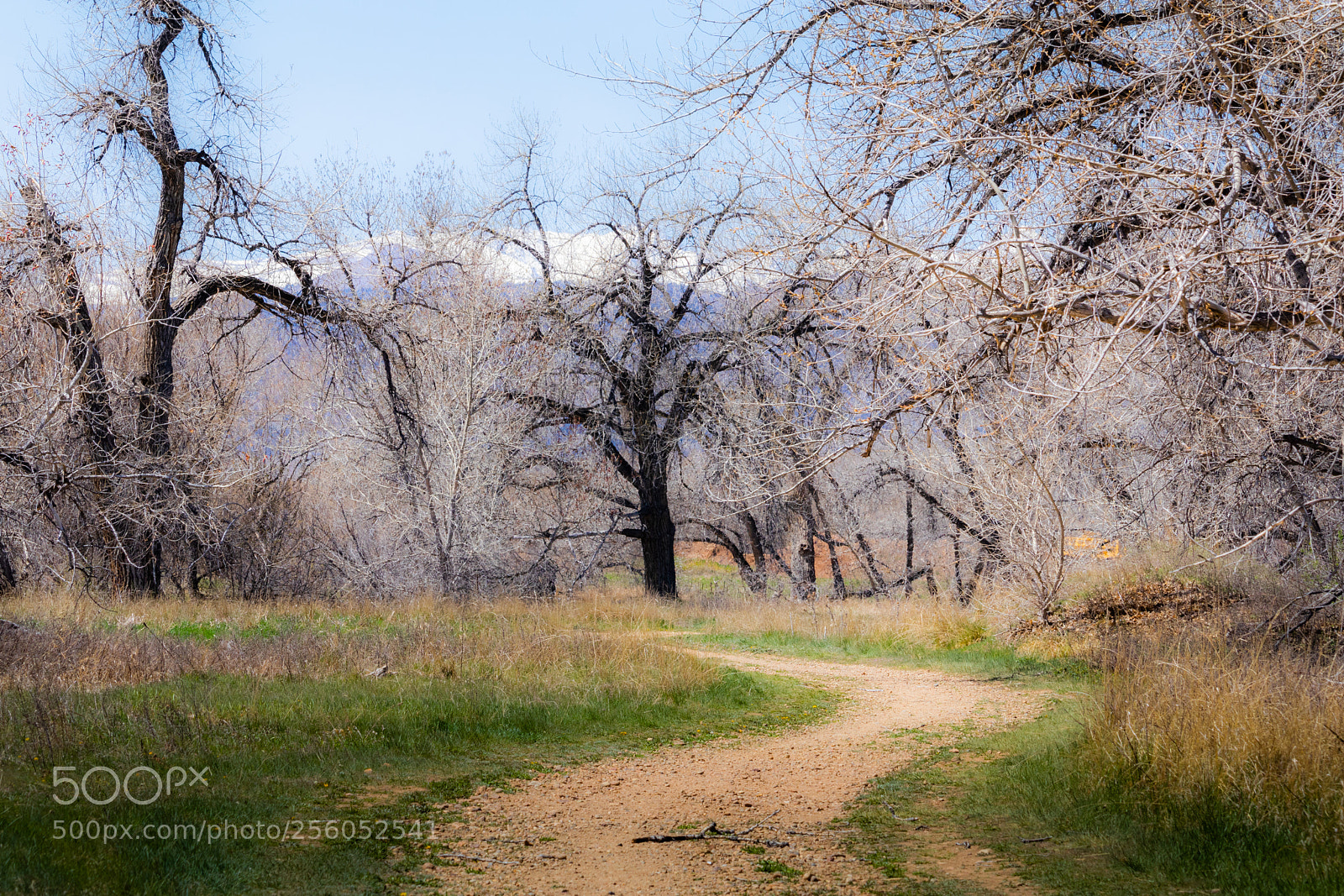 Canon EOS 80D sample photo. Wildlife sanctuary photography