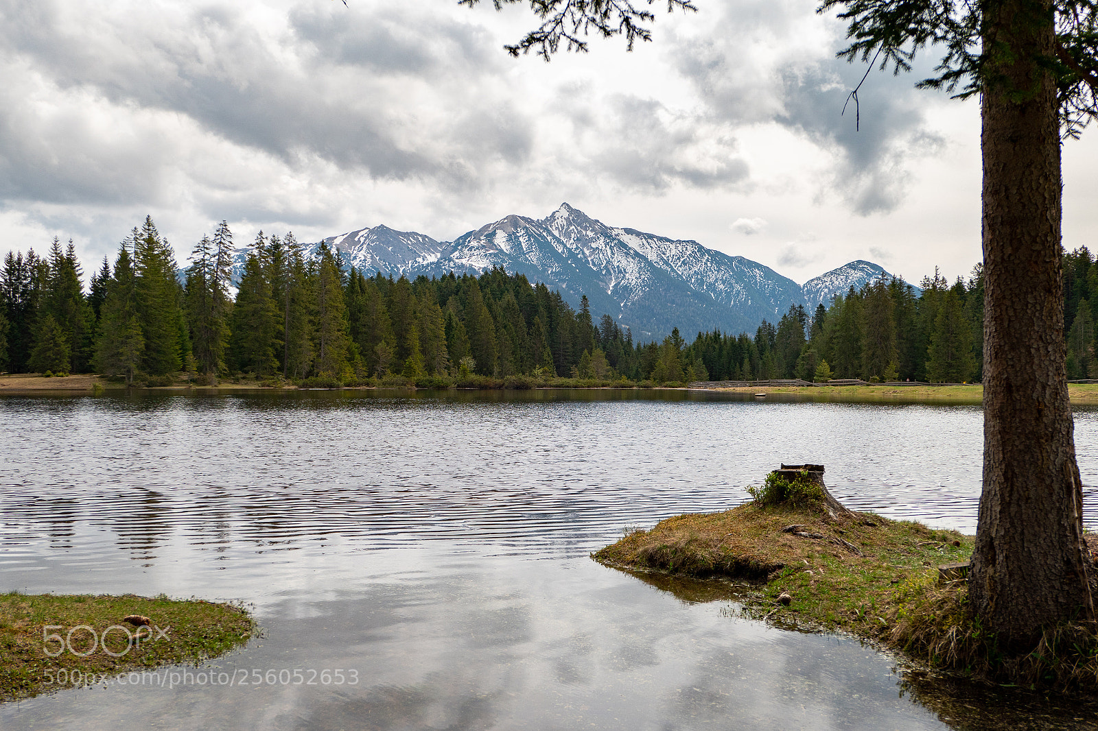 Panasonic Lumix DMC-LX10 (Lumix DMC-LX15) sample photo. Wildmoossee photography