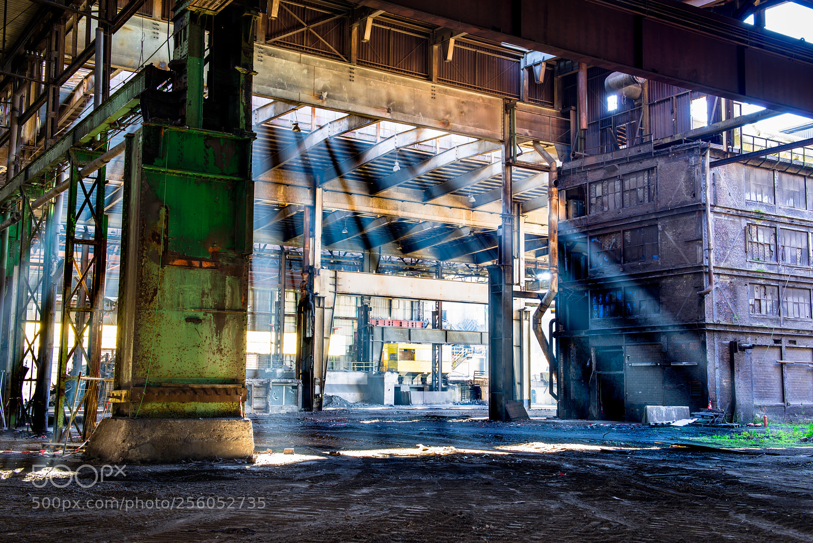 Nikon D800 sample photo. Cathedral of steel photography