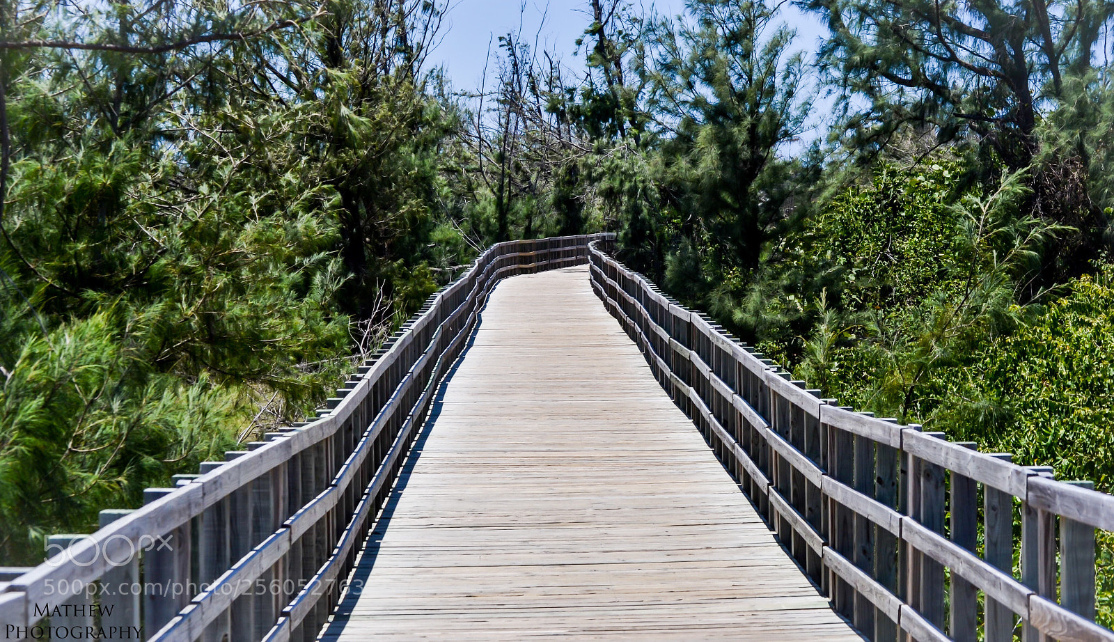 Nikon D3100 sample photo. Untitled photography