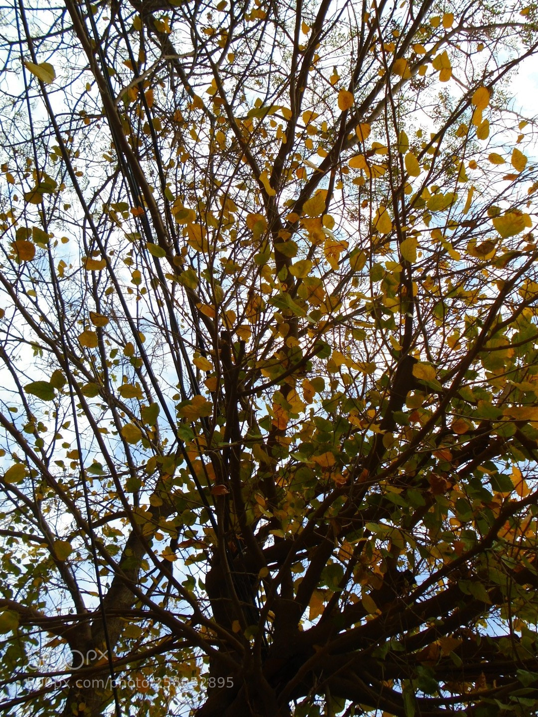 Sony Cyber-shot DSC-W800 sample photo. December 2017 015 photography