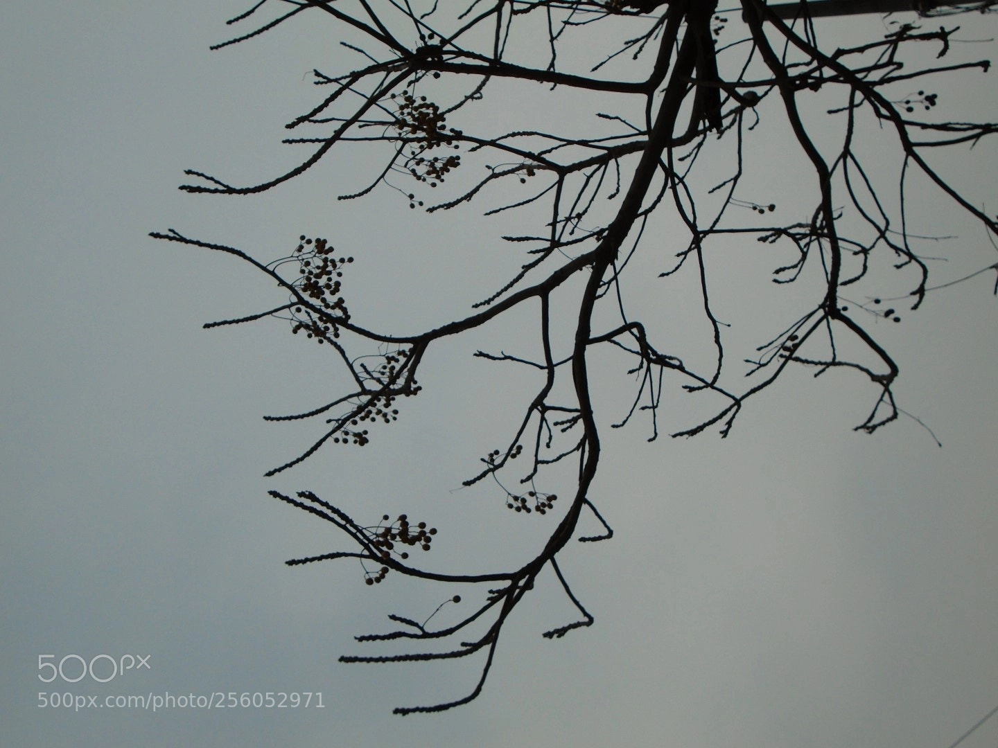 Sony Cyber-shot DSC-W800 sample photo. December 2017 039 photography