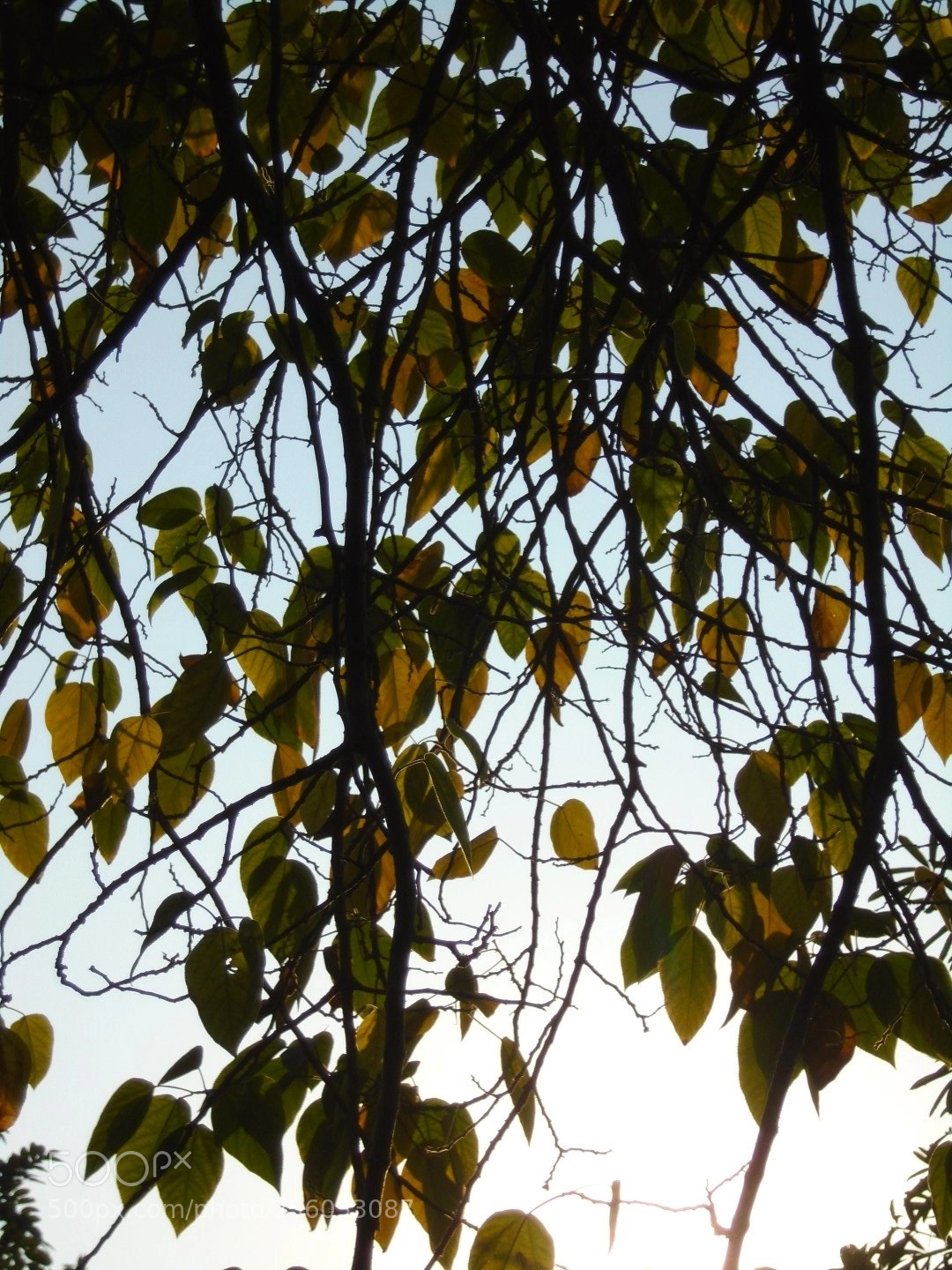 Sony Cyber-shot DSC-W800 sample photo. December 2017 066 photography